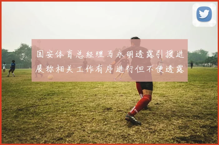 国安体育总经理马永明透露引援进展称相关工作有序进行但不便透露名字