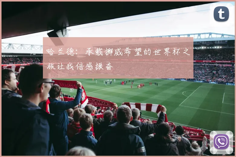 哈兰德：承载挪威希望的世界杯之旅让我倍感振奋