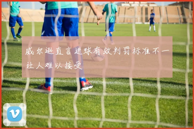 威尔逊直言进球有效判罚标准不一让人难以接受